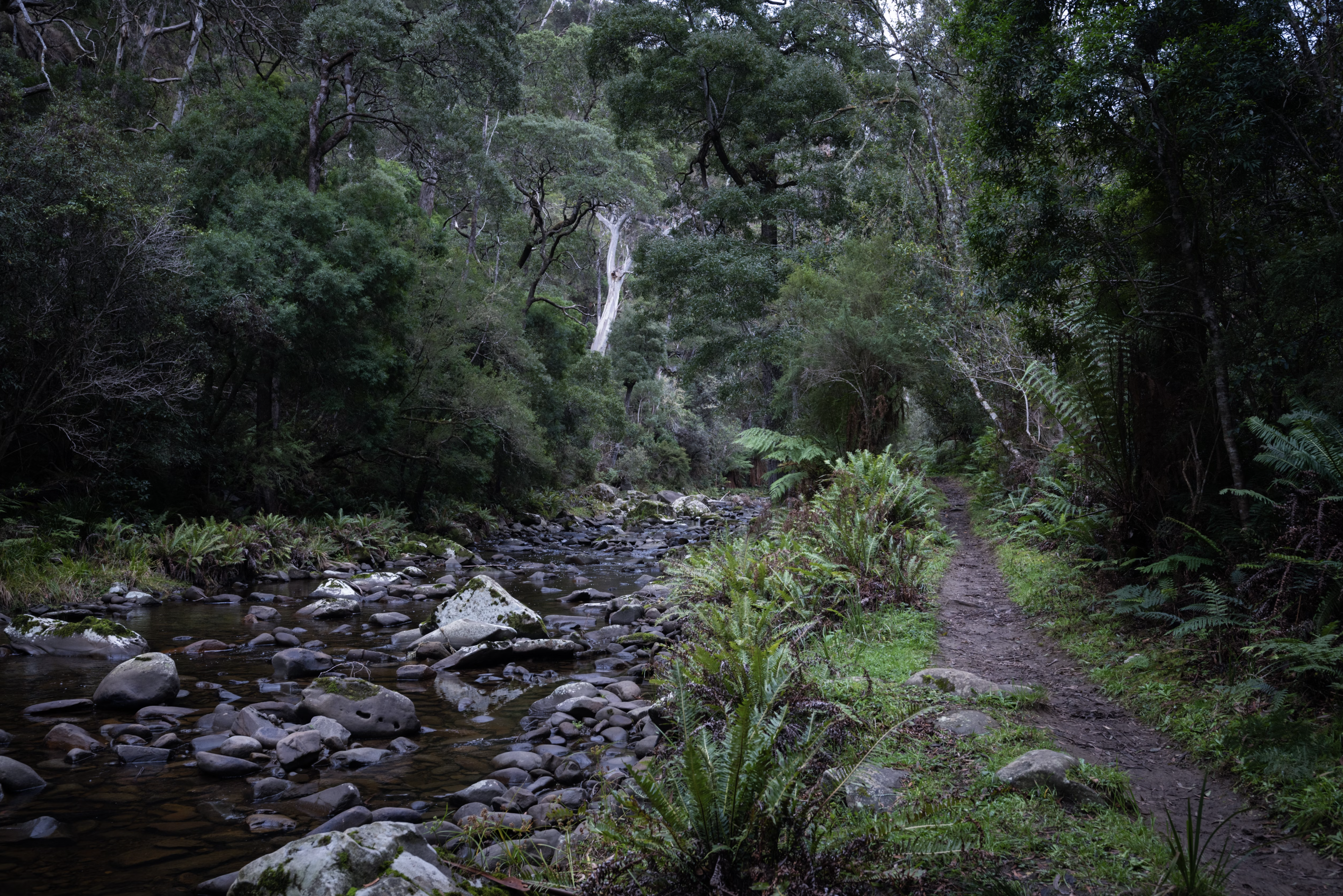 guildford-walking-the-loddon